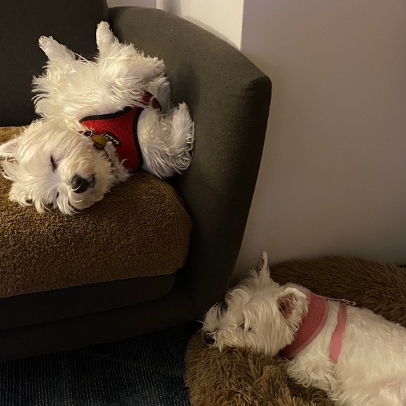 Meet your Posher, Cathy! - Picture 2 of 7